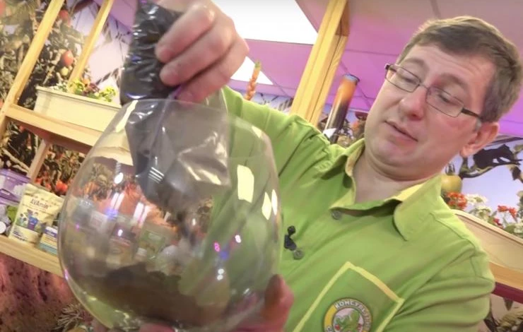 Как правильно пересадить орхидею