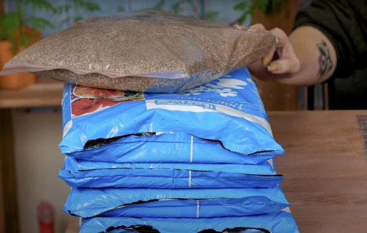 грунт для выгонки тюльпанов