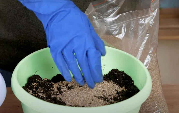 вермикулит для выгонки тюльпанов