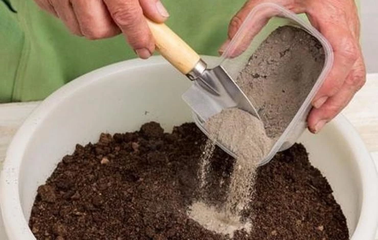 подготовка почвы для посева перца