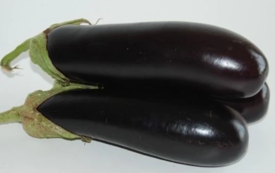 сорт баклажанов лолита