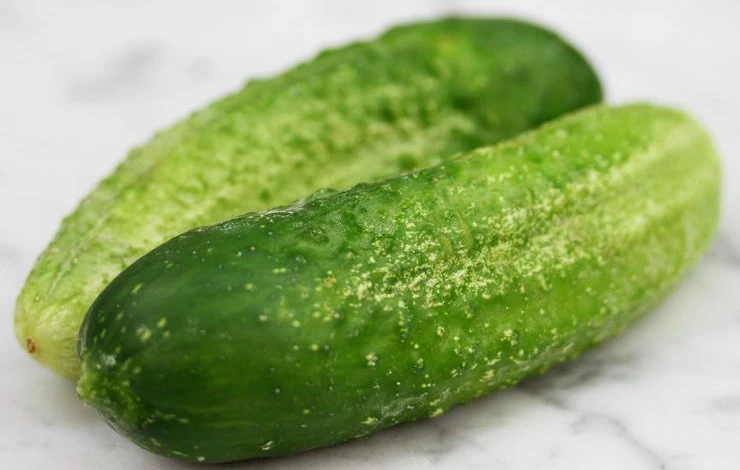 Сорт огурцов деликатесный