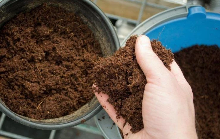 низинный торф для рассады