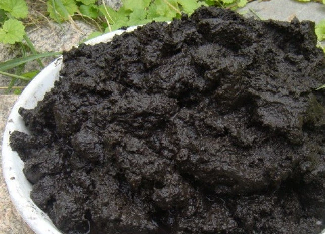 сапропель почвоулучшитель для рассады