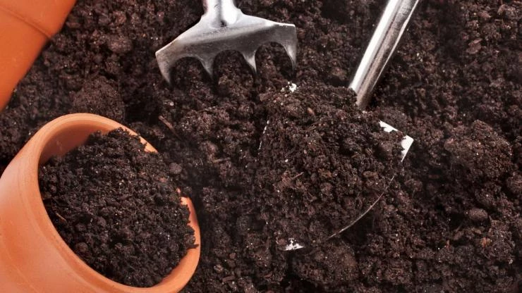 компост улучшитель грунта для рассады