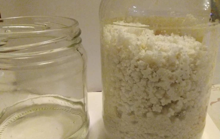 Триходерма на перлите