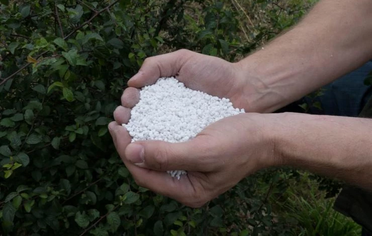 перлит для растений в саду