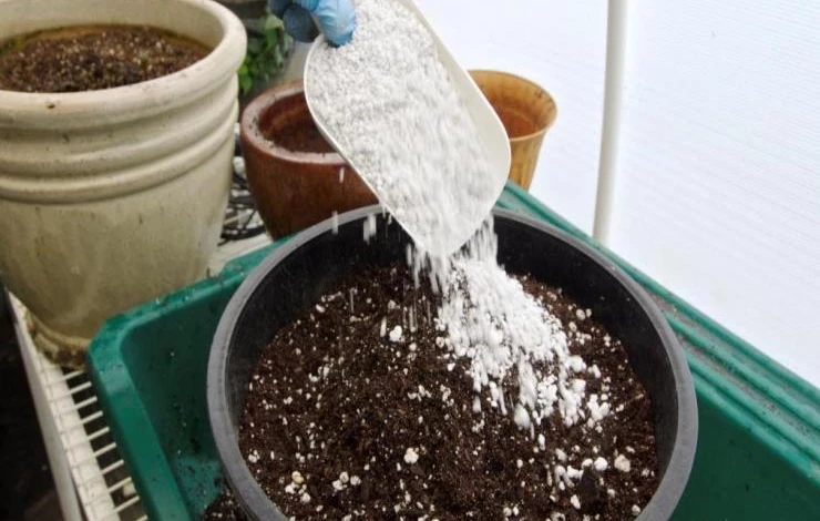 перлит для комнатных цветов использование