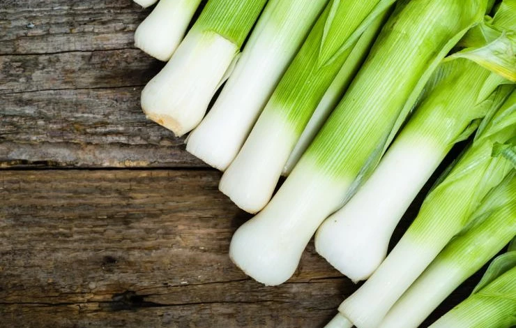 сорт лука-порея килима ранний