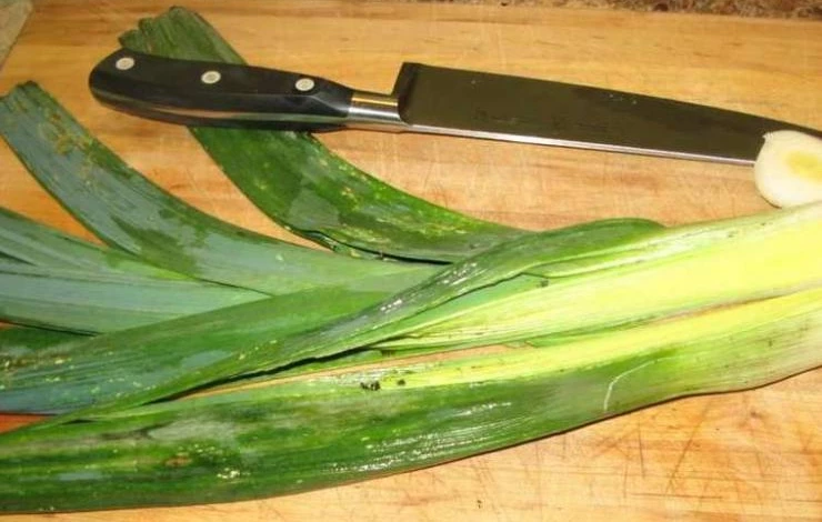 сорт лука-порея бастион