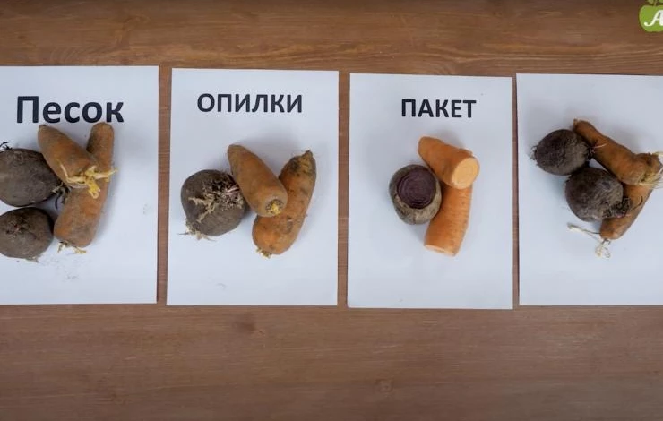 лучший метод хранения овощей