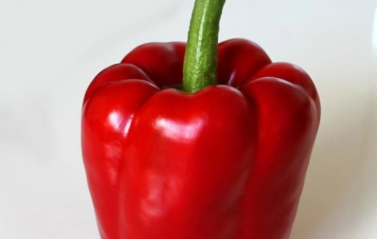 сорт крупного перца для открытого грунта и теплиц Кинг Конг F1