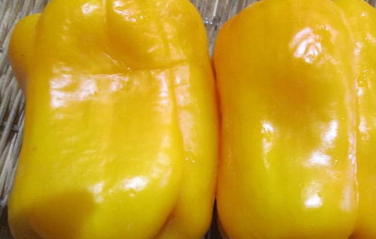 сорт крупного перца Пето Чудо желтое
