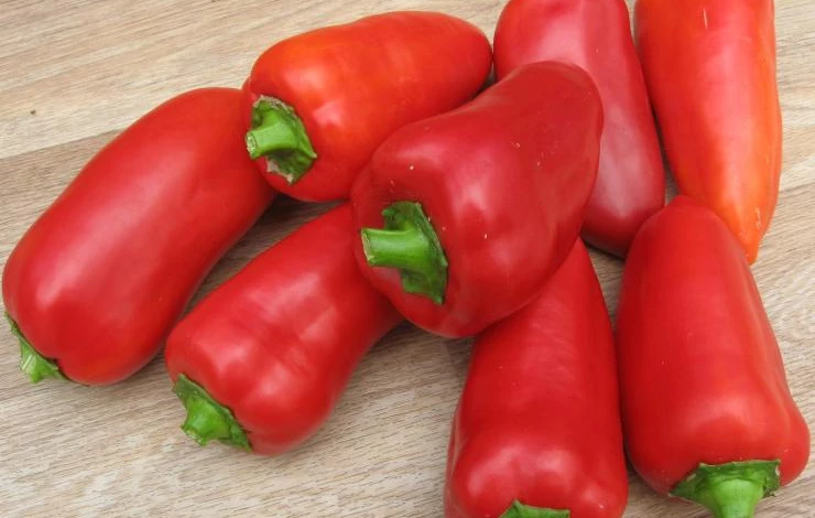 Урожайный сорт перца для теплиц винни пух