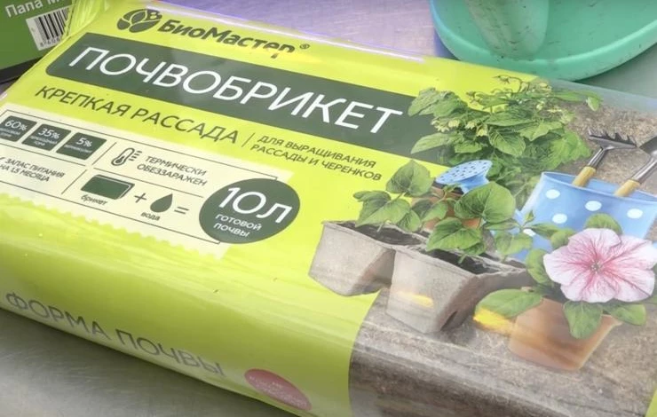 как выбрать грунт для рассады