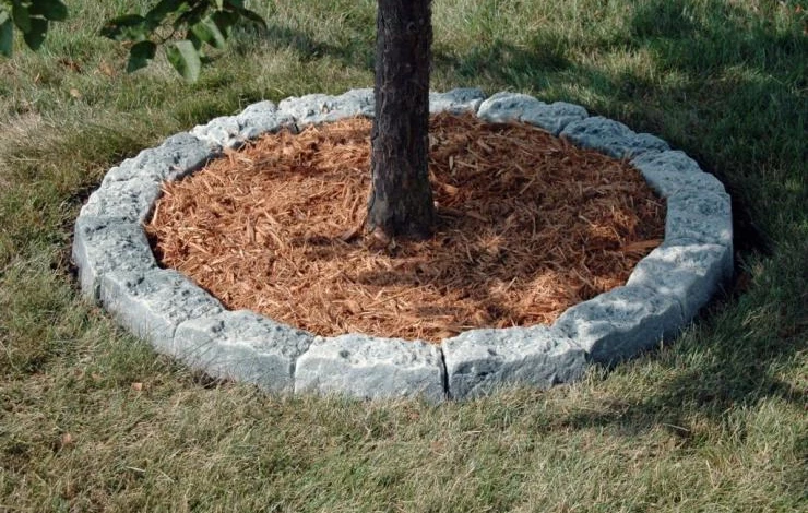 мульчирование стволов деревьев на зиму