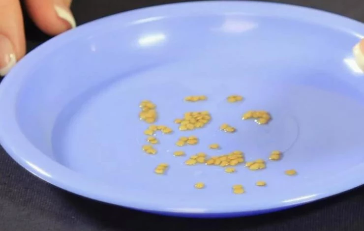 замачивание семян в эпине