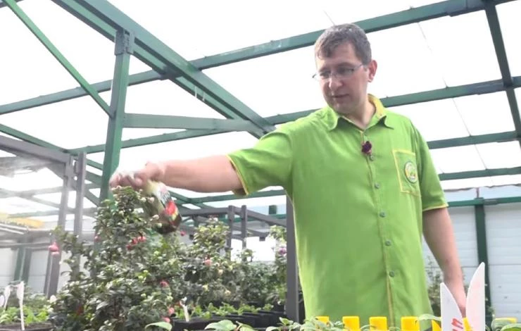 консультант садовода