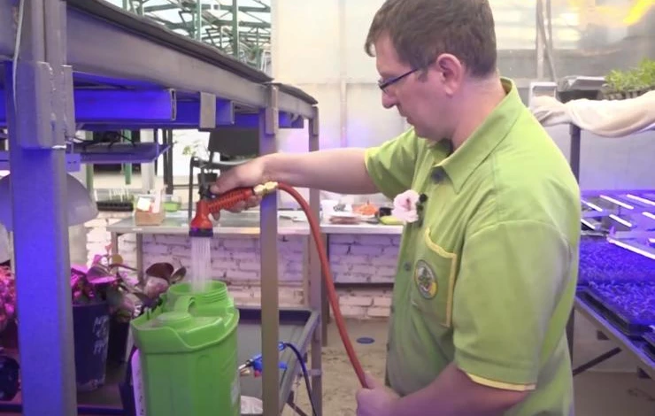 удобрения для рассады