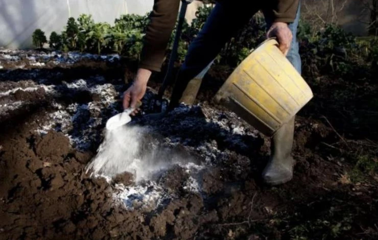 известкование почвы известью