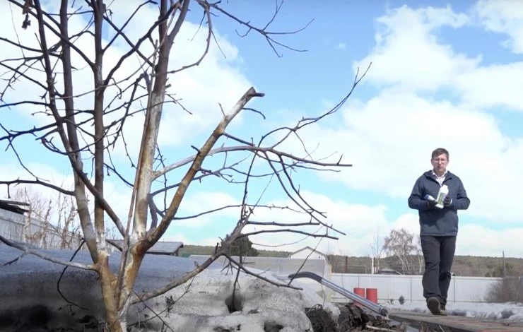 препараты для уничтожения вредителей