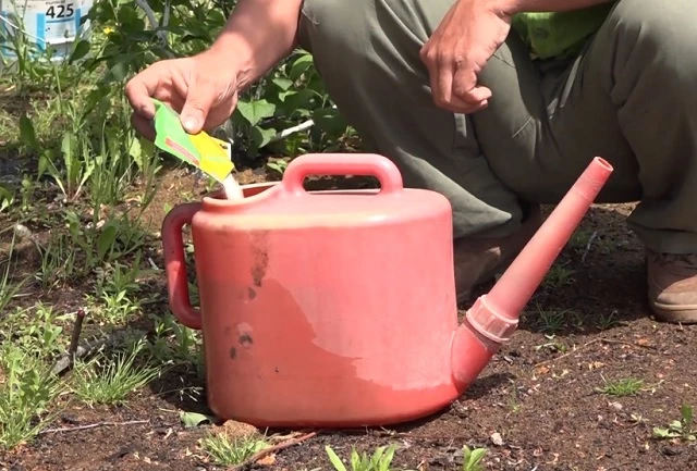 Био препараты от муравьев разводят в воде