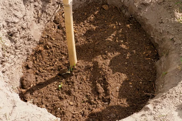 Лунка с колышком и питательной почвой