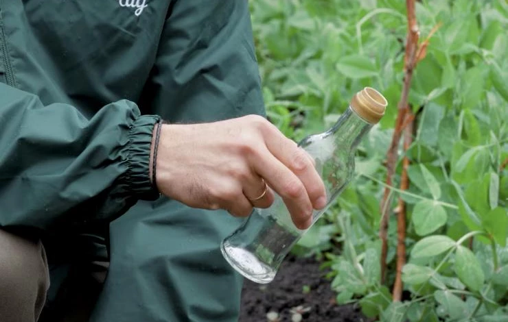 как избавиться от кротов на даче народными способами