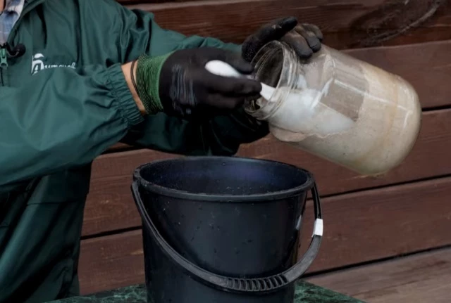 Зольные удобрения своими руками