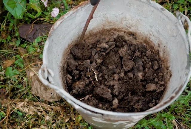 Приготовление удобрения из птичьего помета