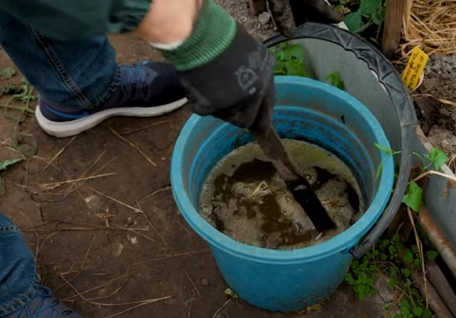 Раствор навозной жижи