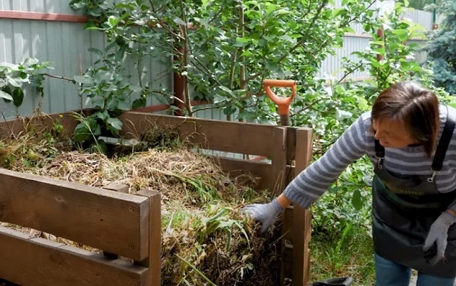 Как компостировать отходы на даче