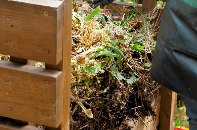 Из чего состоит горячий компост