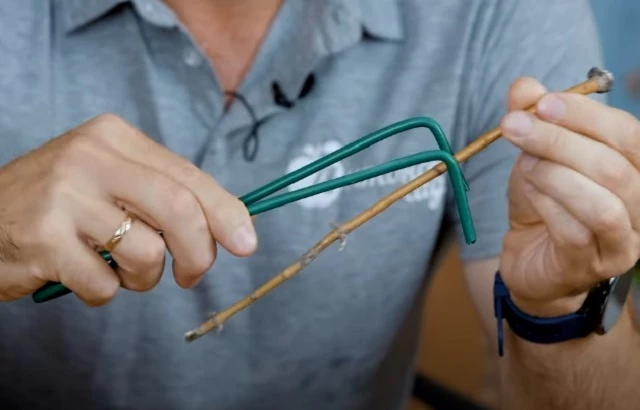 Приспособление для сбора облепихи