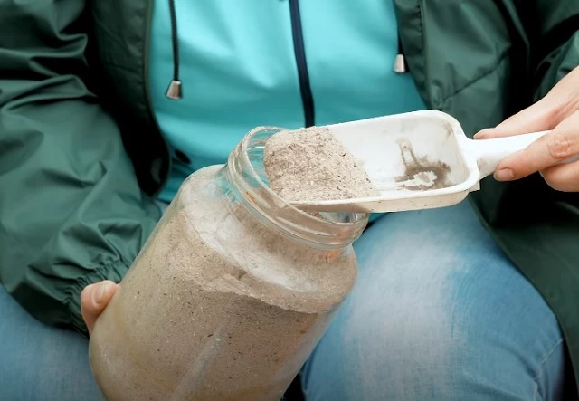 Томаты можно подкормить древесной золой