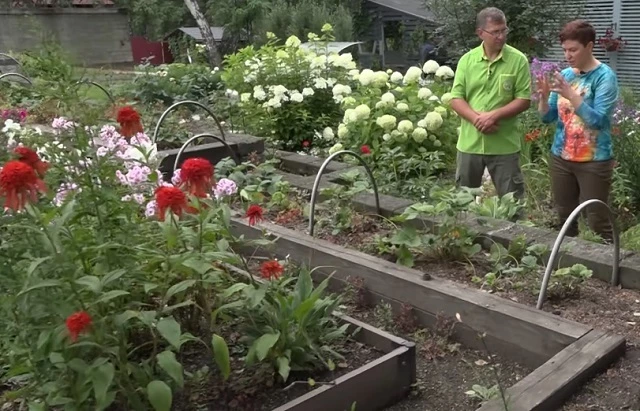 Террасирование грядок