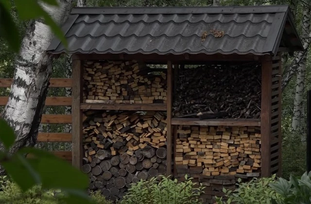 В дровнике живут энтомофаги