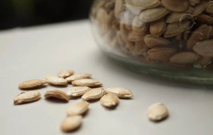 Зачем хранить семена тыквы