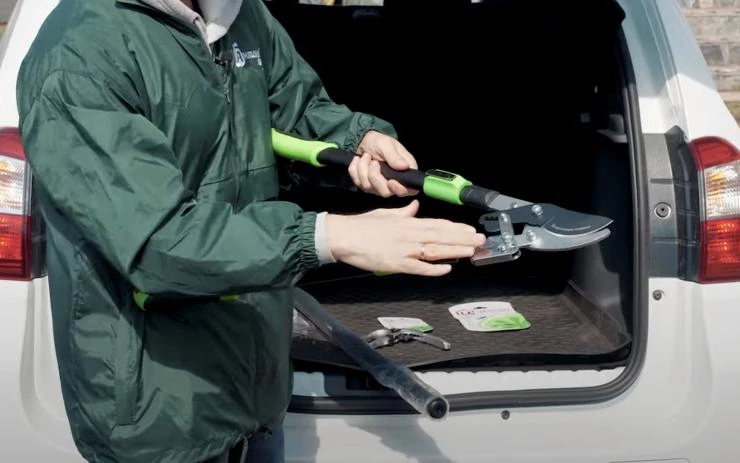 Какие инструменты использовать для обрезки груши