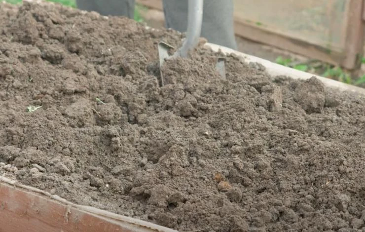 как получить перегной из навоза