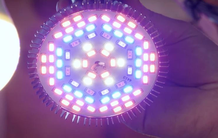 лампы полного спектра для комнатных цветов