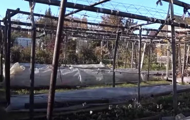 материалы для укрытия винограда осенью