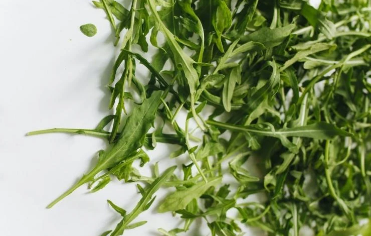 Листья руколы