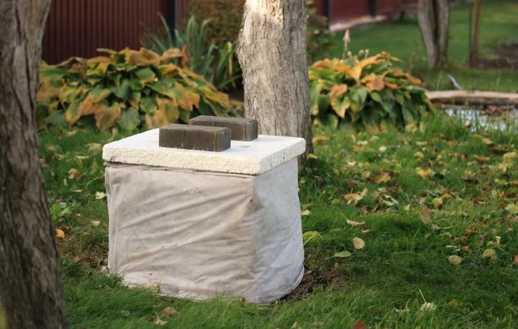 как правильно укрыть гортензию перед зимой