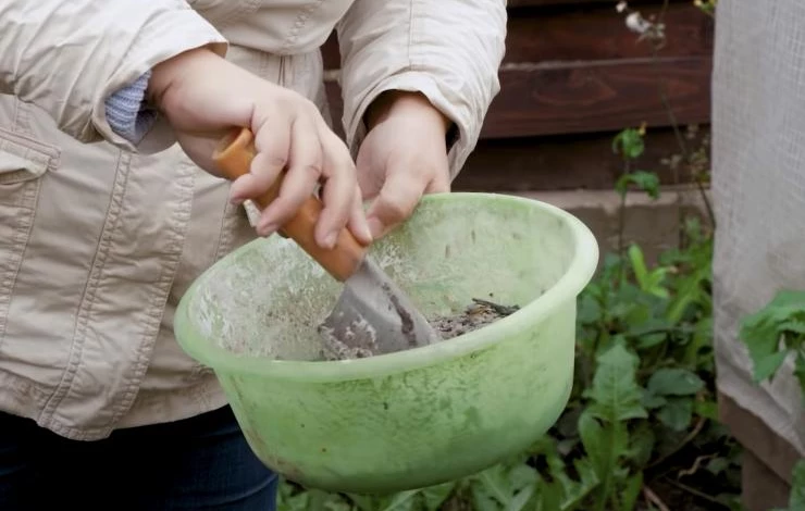 подкормка ели коника