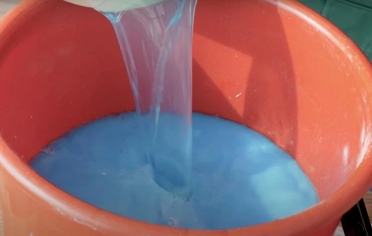 защита домашнего грецкого ореха от вредителей