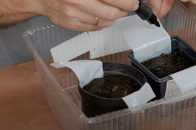 Конструкция для пересадки рассады