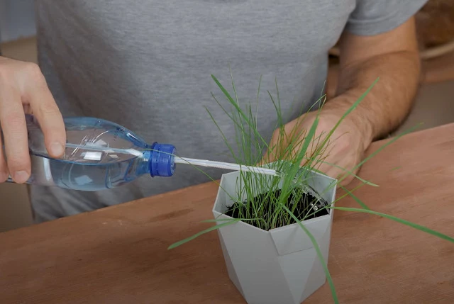 Проверка лайфхака для дачников