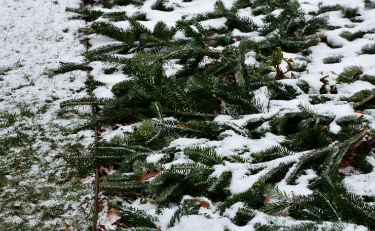 Снегозадержание на участке