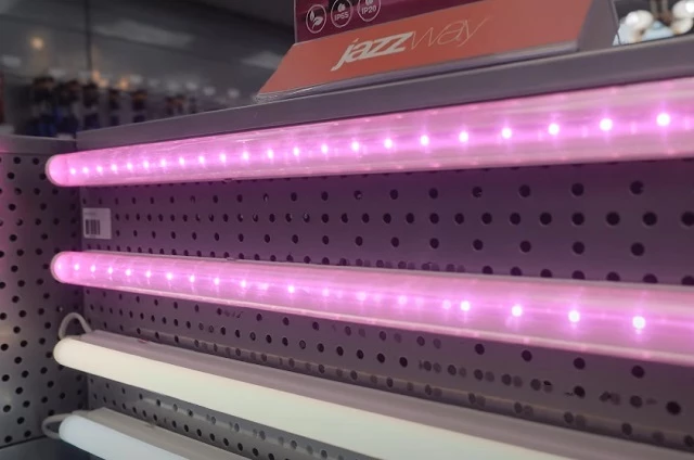 Спектр фитолампы для растений